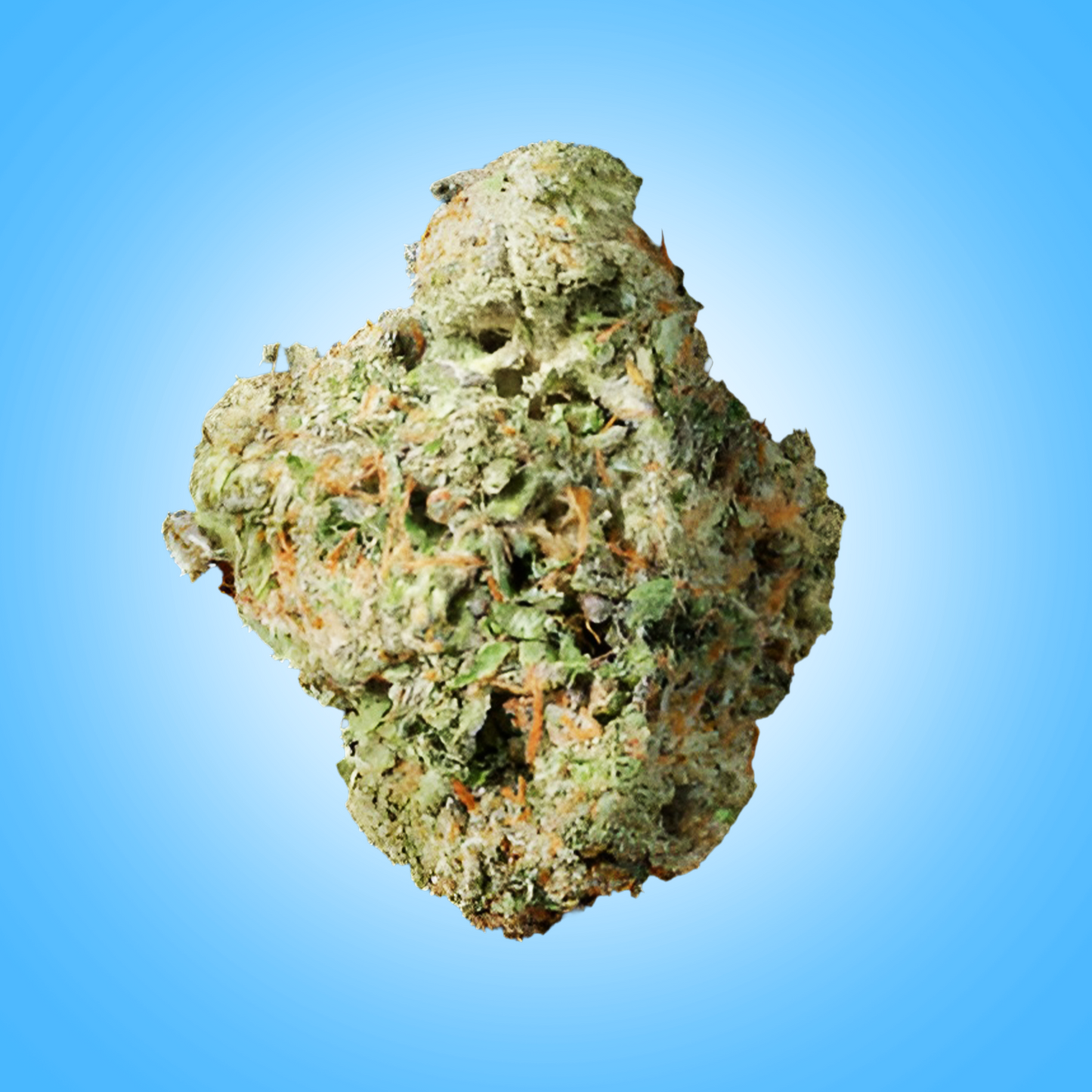 Sativa • Durban Poison (Budget Buds)