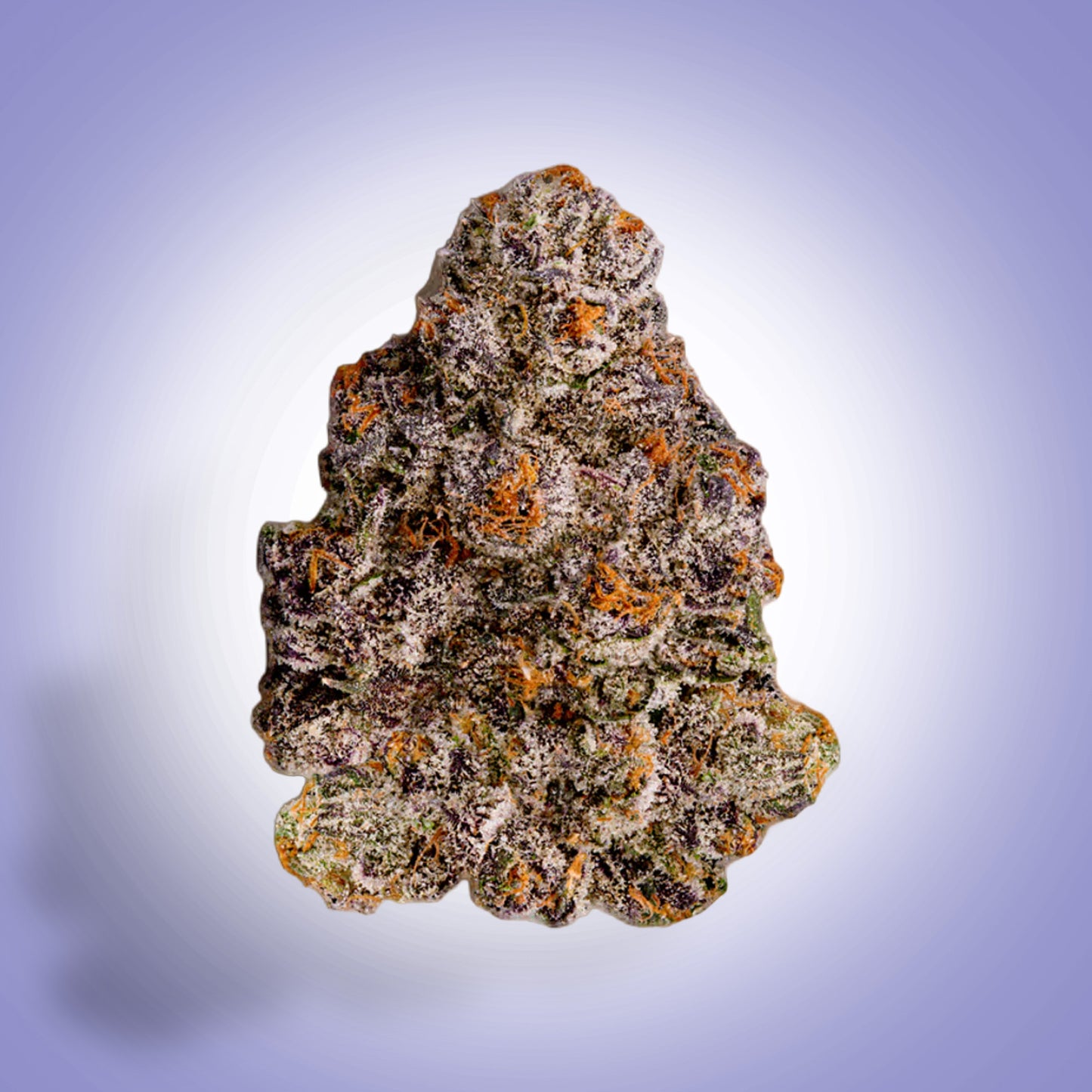 Sativa • Berry Breeze (Premium)