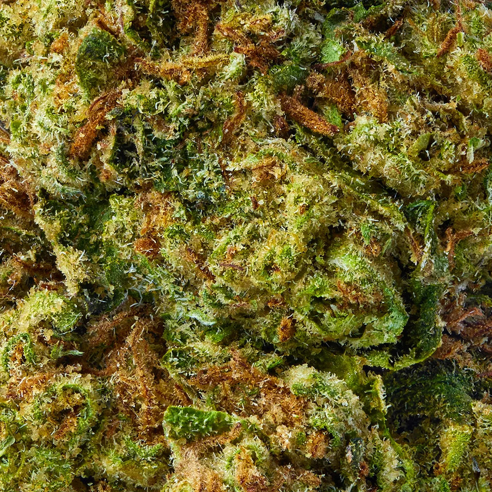 Indica • Super Sauce (Economy)