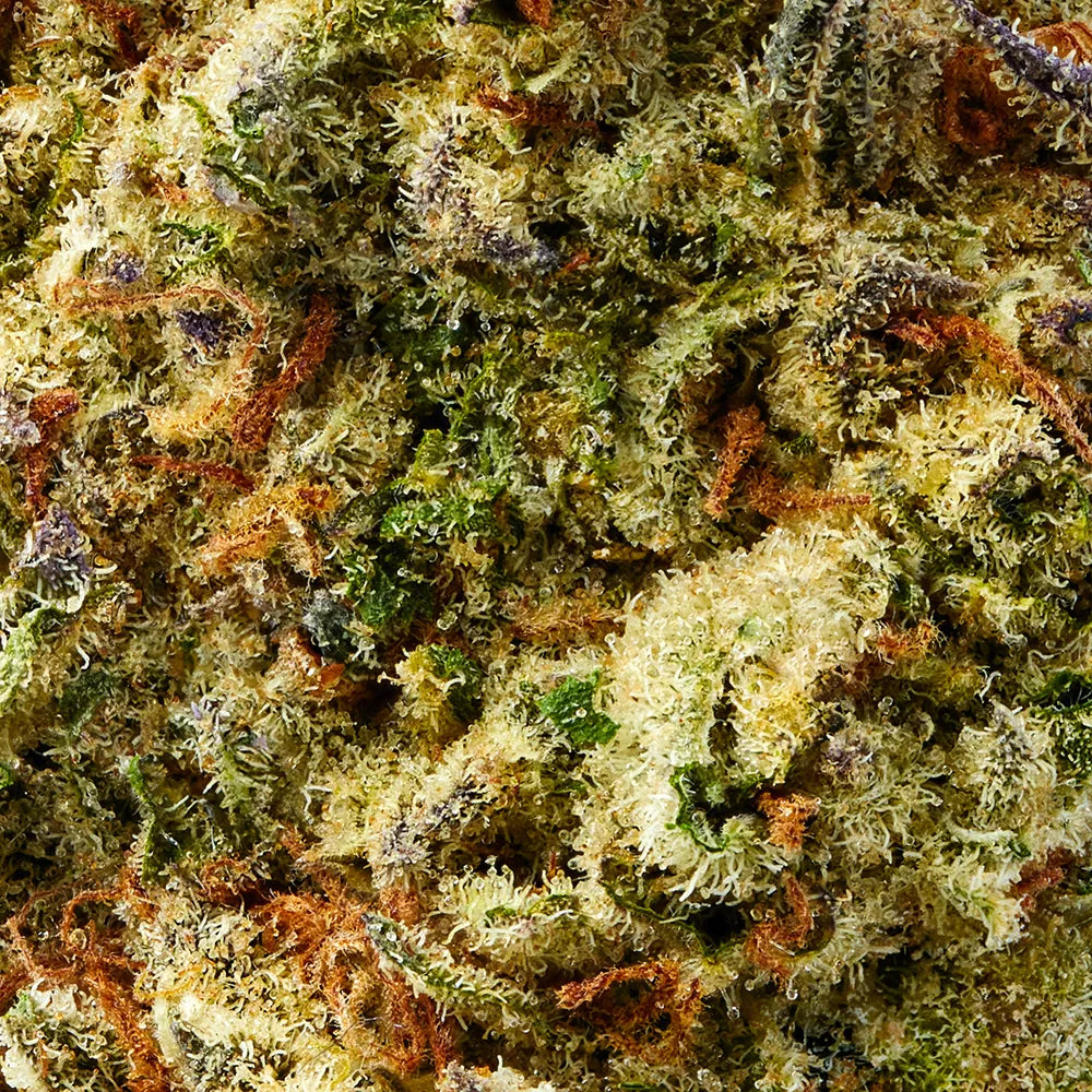 Hybrid • Mac 1 (Premium Oz Bulk)