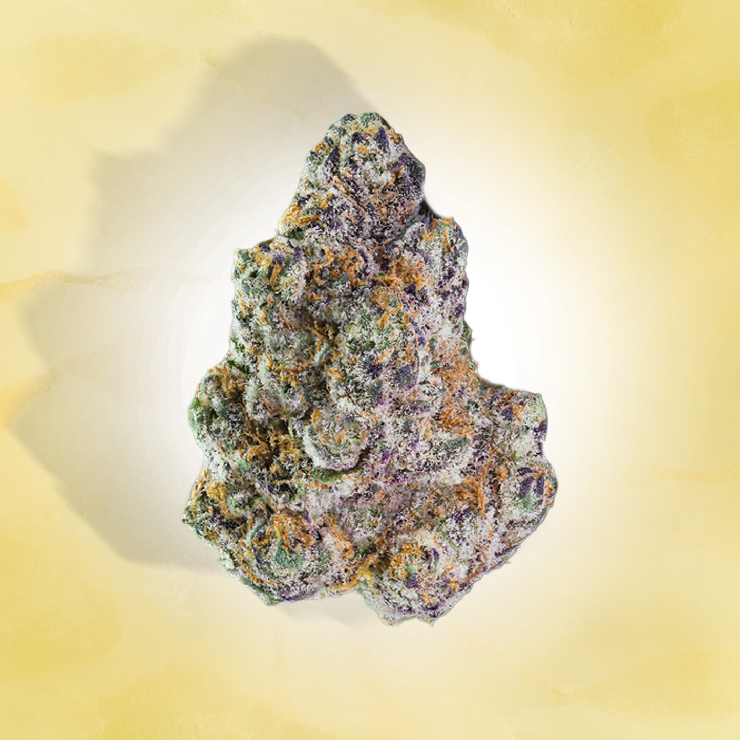 Hybrid • Flowstate (Exotic)