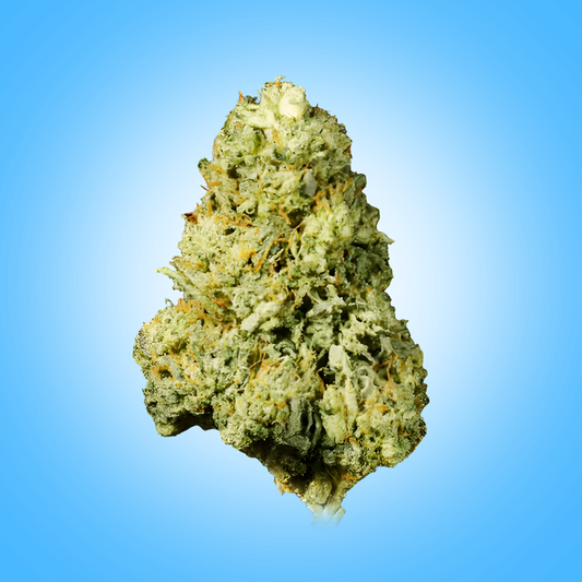 Sativa • Blue Z