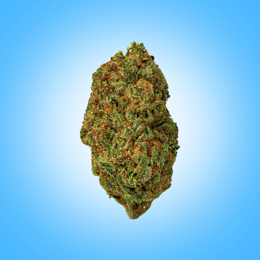 Sativa • White Ember