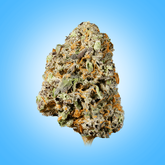 Indica • Jet Fuel X