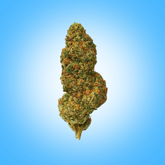 Sativa • OG Kush