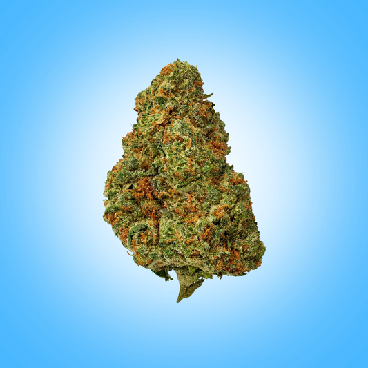 Indica • Super Sauce