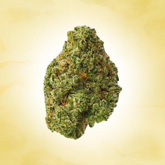 Sativa • Super Silver Haze