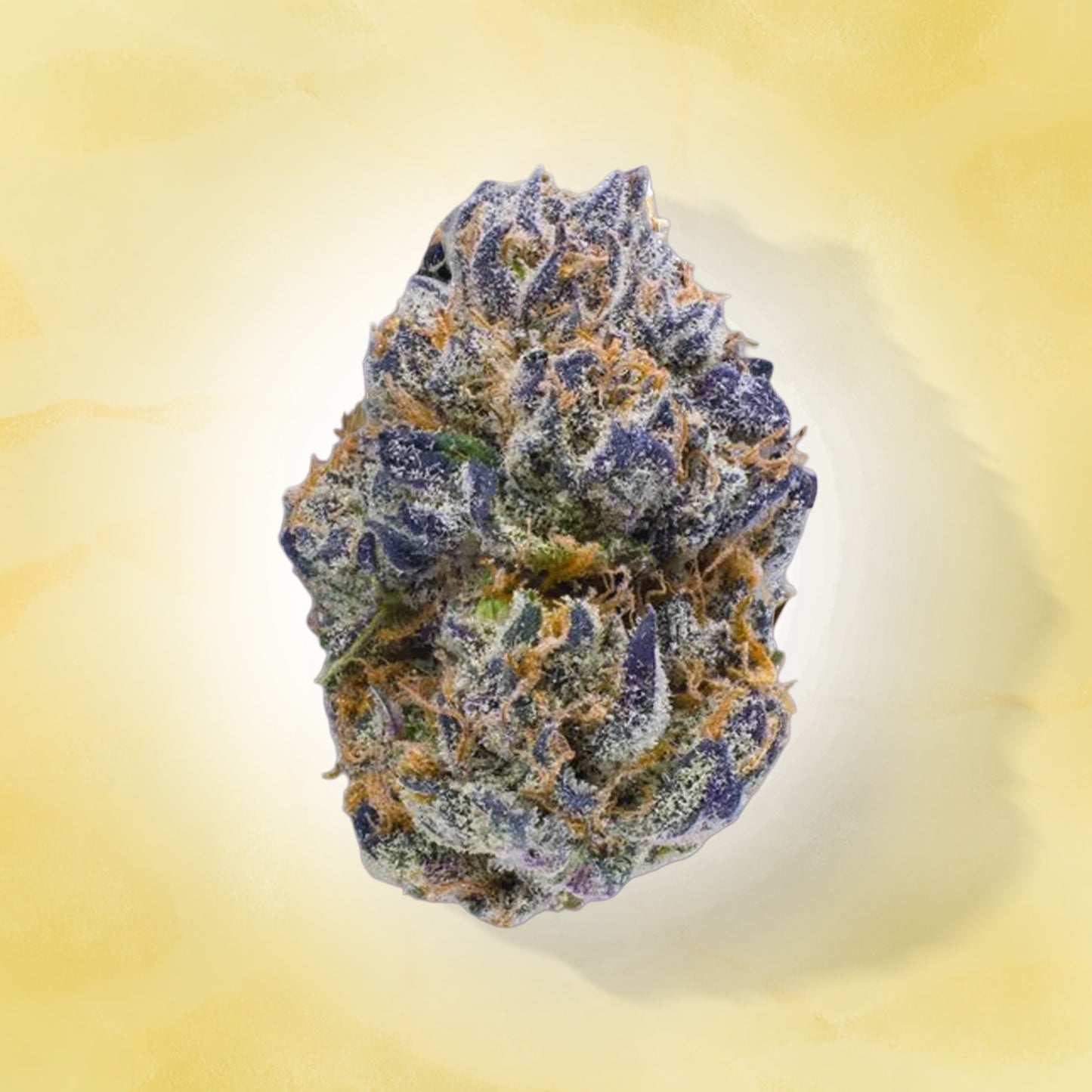 Indica • Permanent Marker (Exotic)