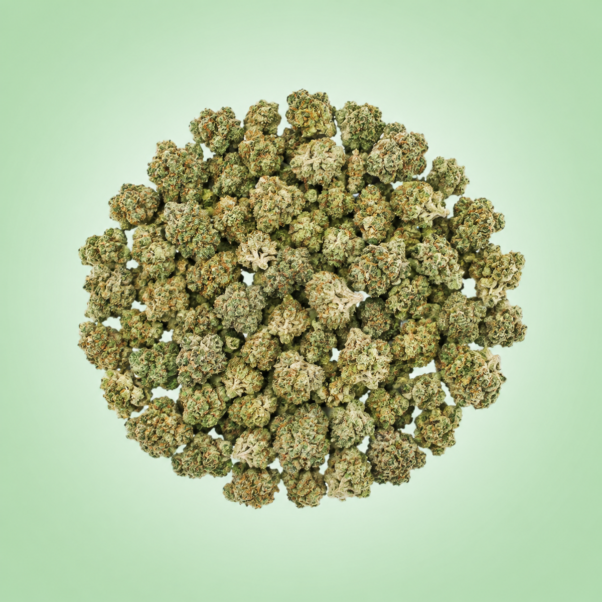 Indica • Blueberry Lemon