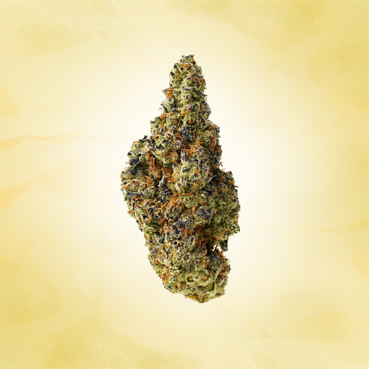 Hybrid • White Widow