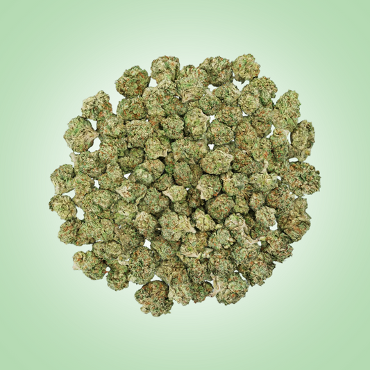 Indica • Biscotti