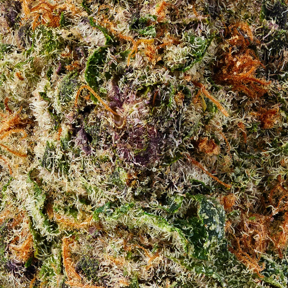 Hybrid • Flowstate (Exotic)