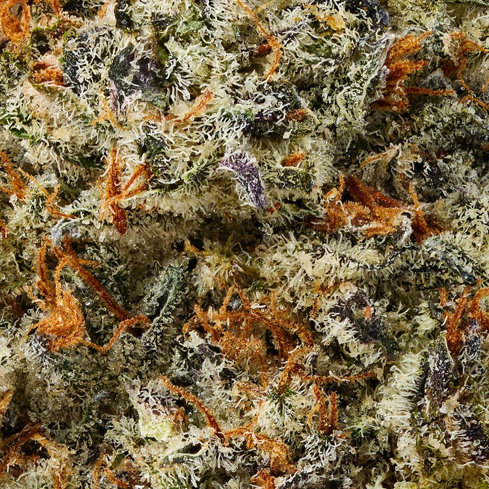 Indica • Galactic Warheads (Exotic)