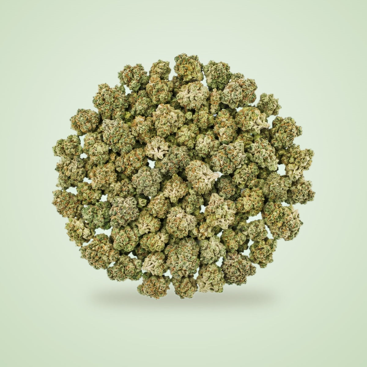Blueberry Lemon THCA smalls (Indica)