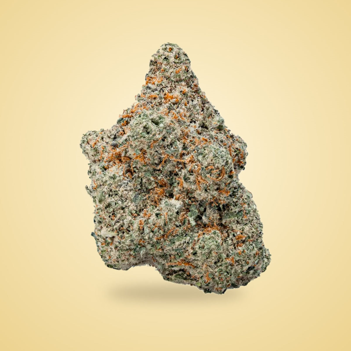Candyland exotic THCA flower (Hybrid)