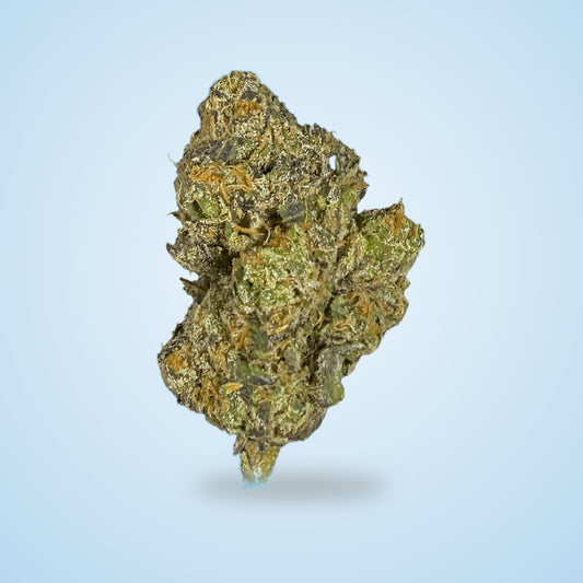 Hybrid • Gelato Cake (Bulk)