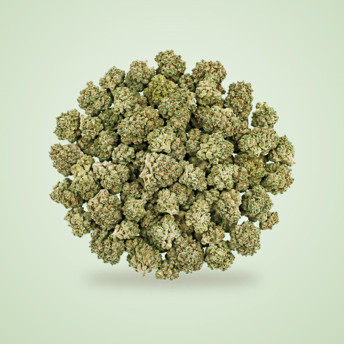 Lemonatti THCA smalls (Sativa)