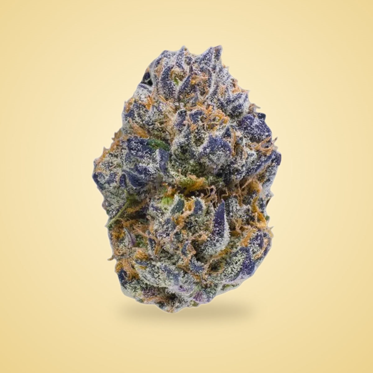 Permanent Marker exotic THCA flower (Indica)