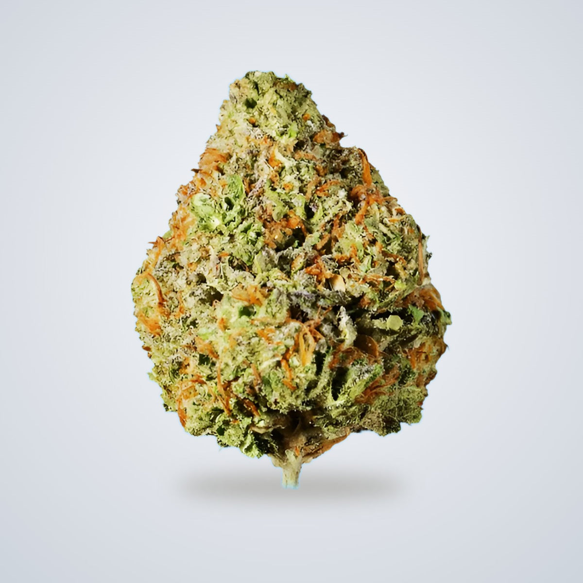 Pineapple Express premium THCA flower (Hybrid)