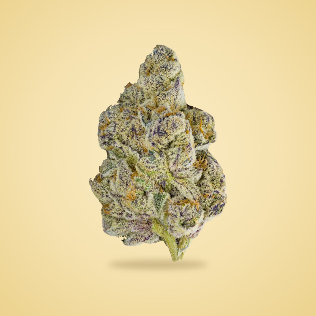 Pink Runtz exotic THCA flower (Indica)