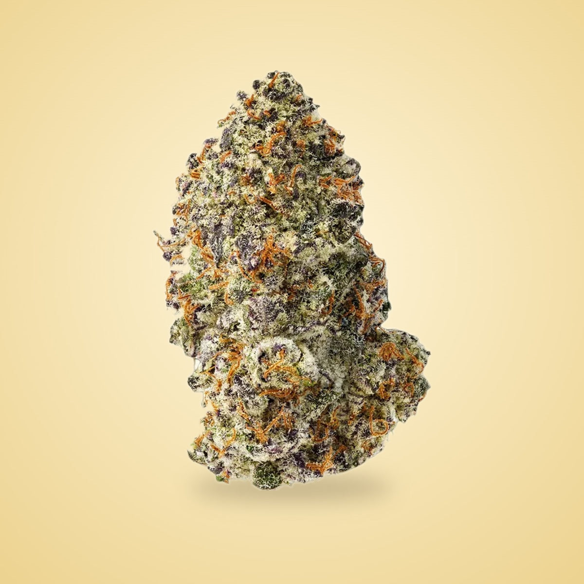 Purple Cloud exotic THCA flower (Hybrid)