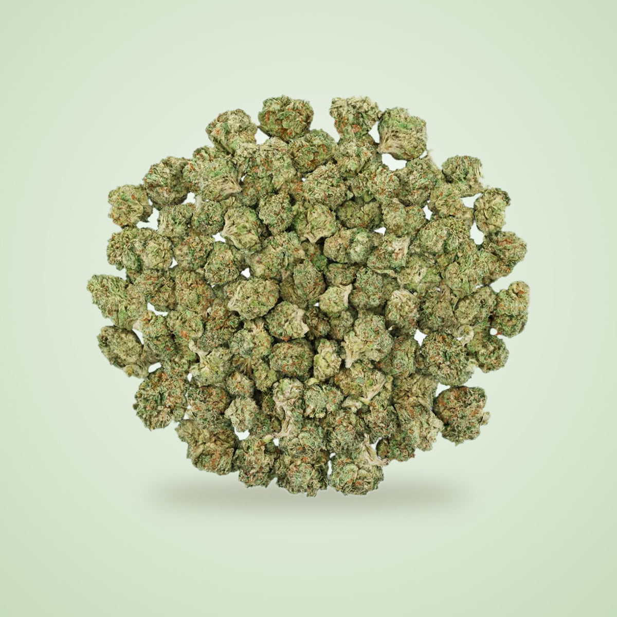 Sunset Sherbert THCA smalls (Indica)