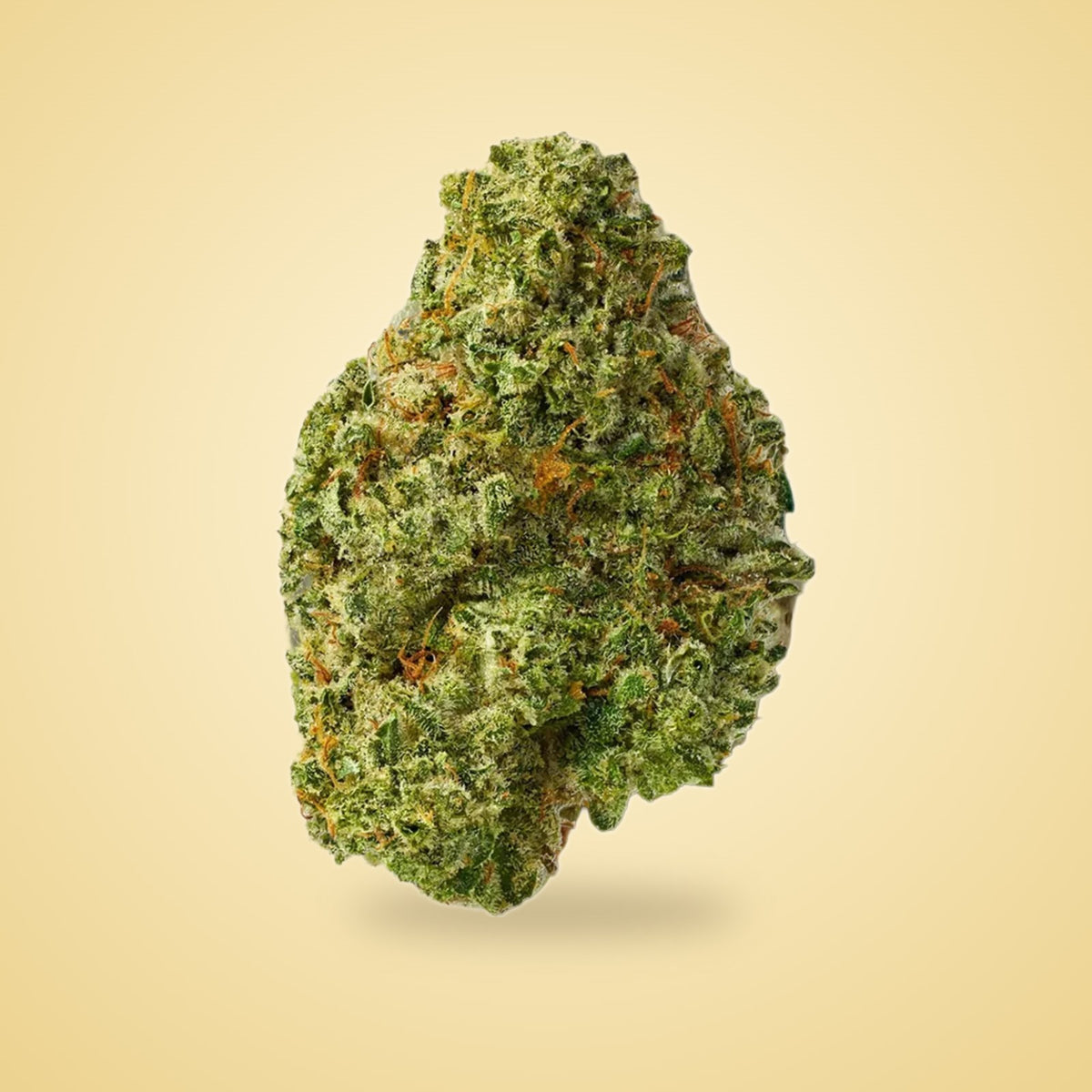 Super Silver Haze exotic THCA flower (Sativa)