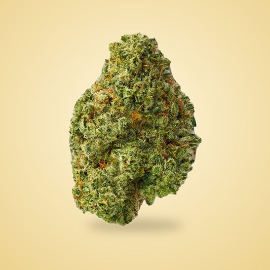 Sativa • Super Silver Haze (Bulk)
