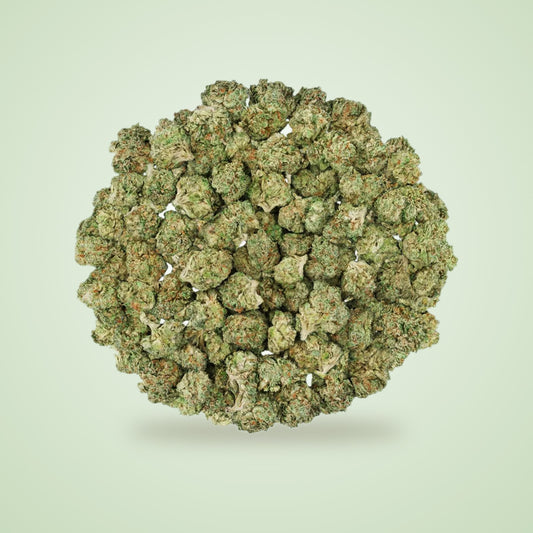 Sativa • RS-11