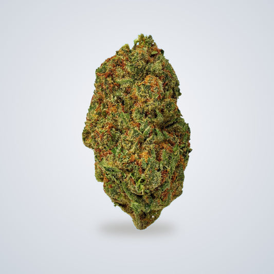 Sativa • White Ember