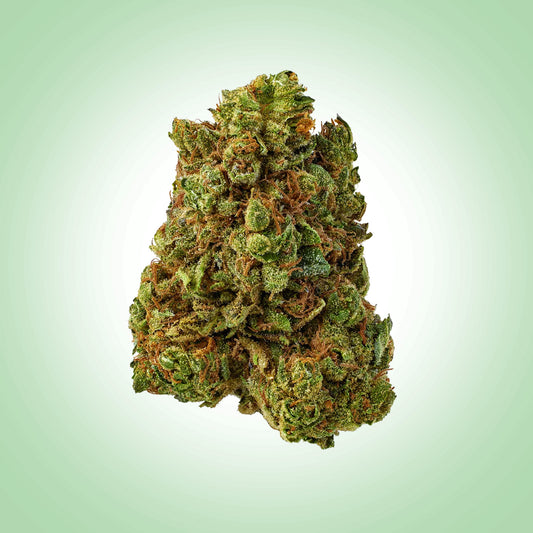 Hybrid • Crunch Berries (Economy)