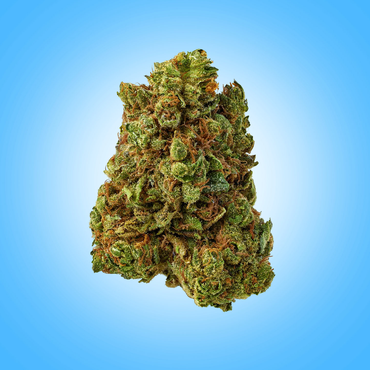 Hybrid • Crunch Berries (Premium Oz)