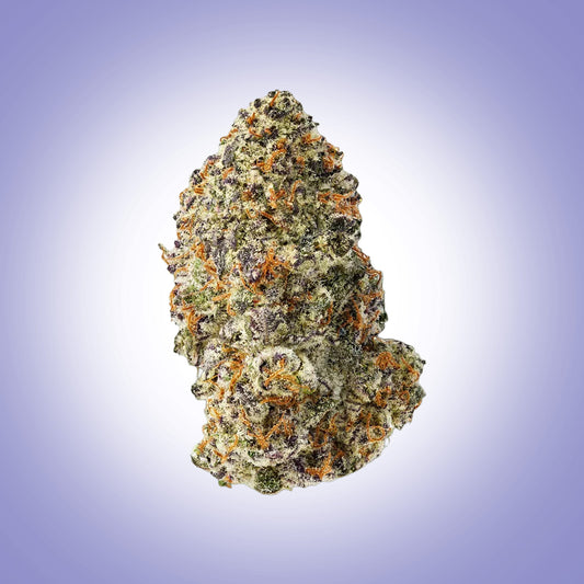 Hybrid • Purple Cloud (Premium)