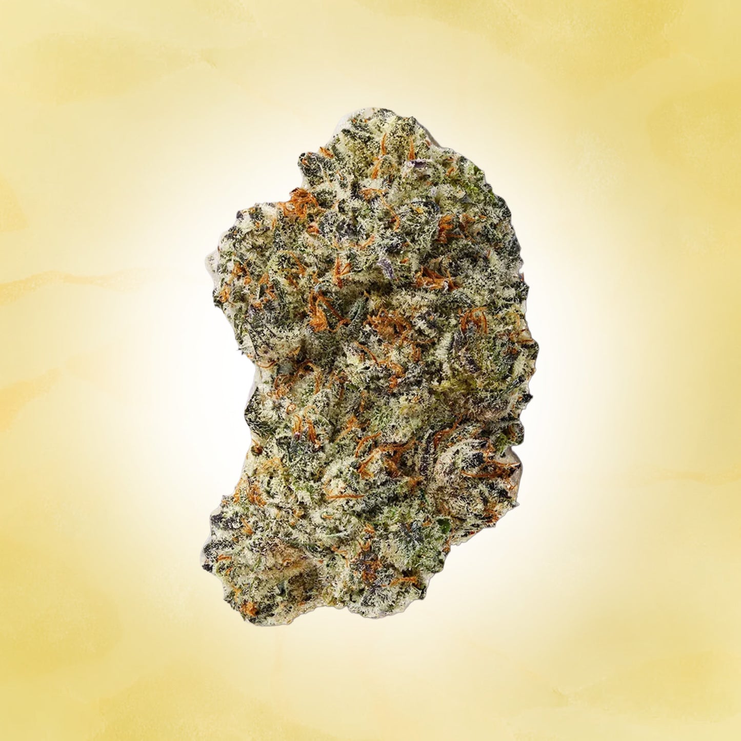 Indica • Galactic Warheads (Exotic)