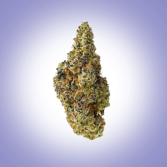 Hybrid • White Widow (Premium)