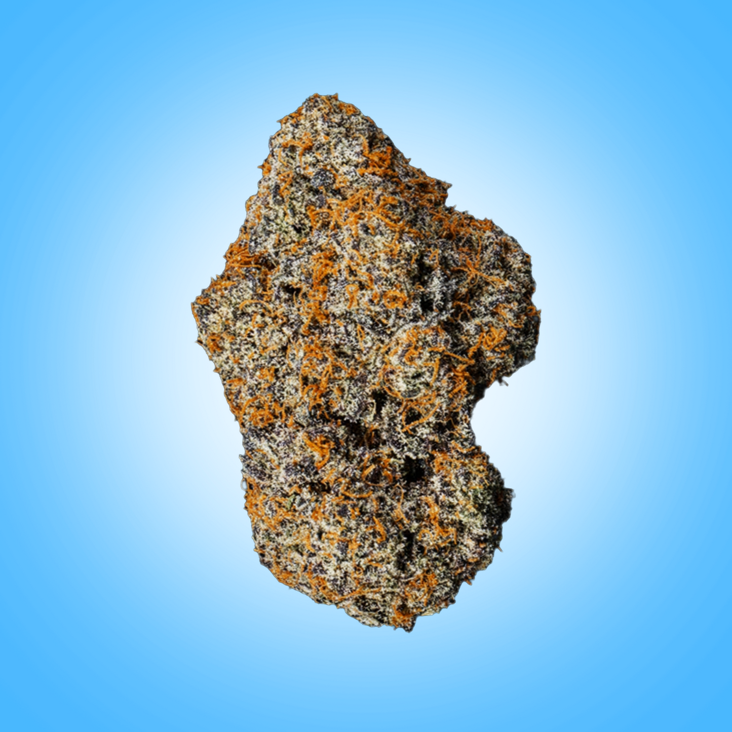 Indica • Granddaddy Purple (Budget Buds)