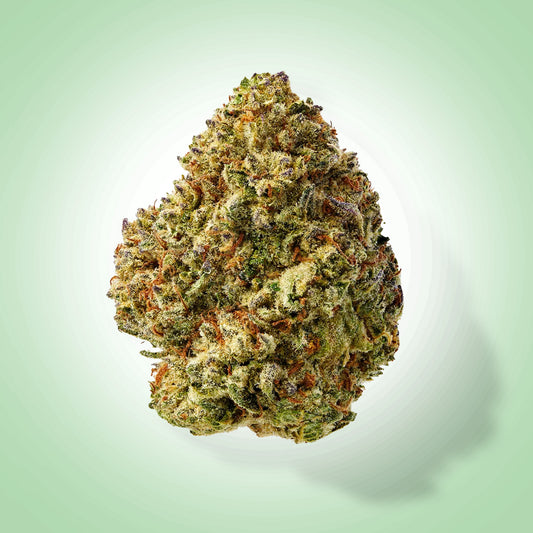Hybrid • Mac 1 (Economy)