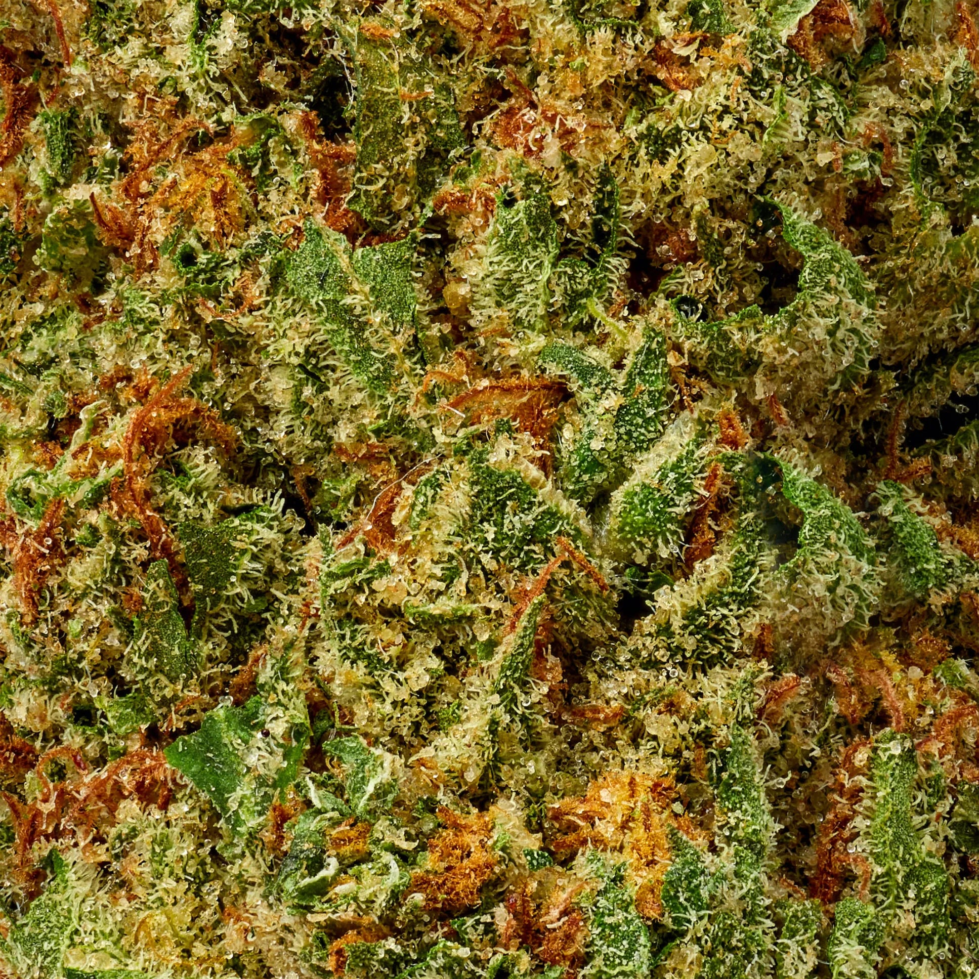 Indica • Granddaddy Purple (Oz Deals)– ZENZURI