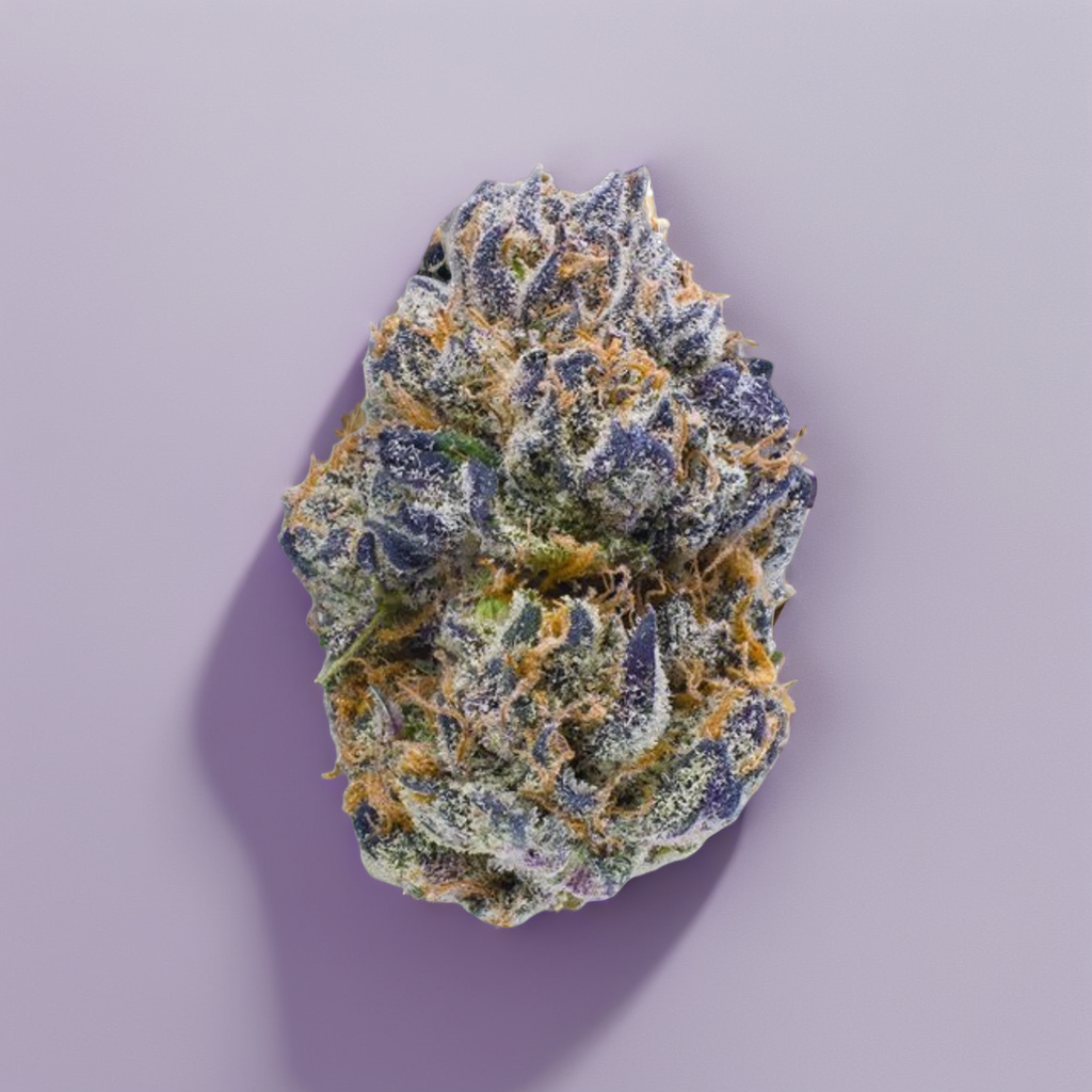 Indica • Permanent Marker