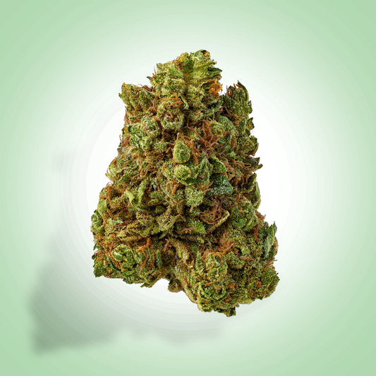 Hybrid • Crunch Berries (Economy)