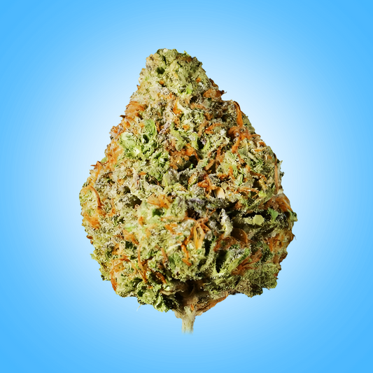 Hybrid • Pineapple Express (Budget Buds)