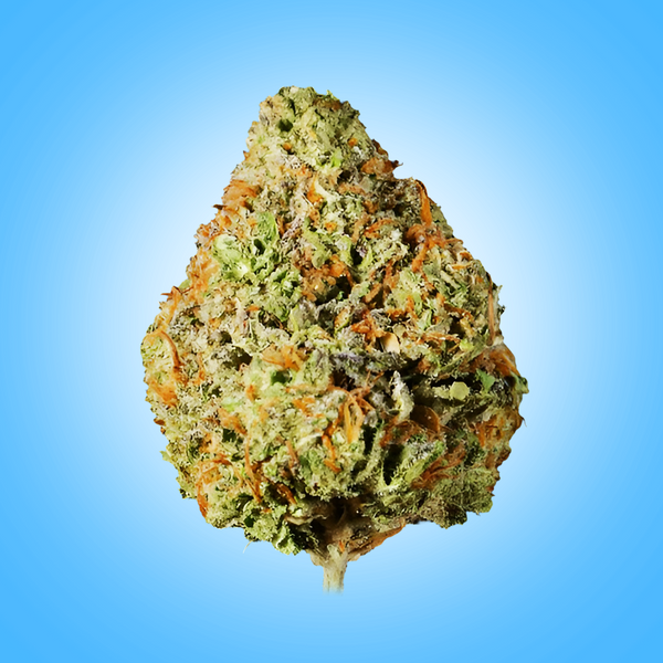 Hybrid • Pineapple Express (Oz Deals)