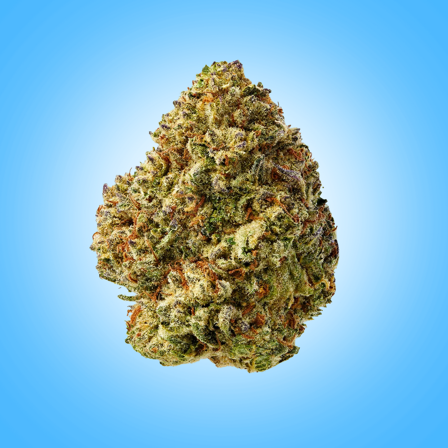 Hybrid • Mac 1 (Premium Oz Bulk)