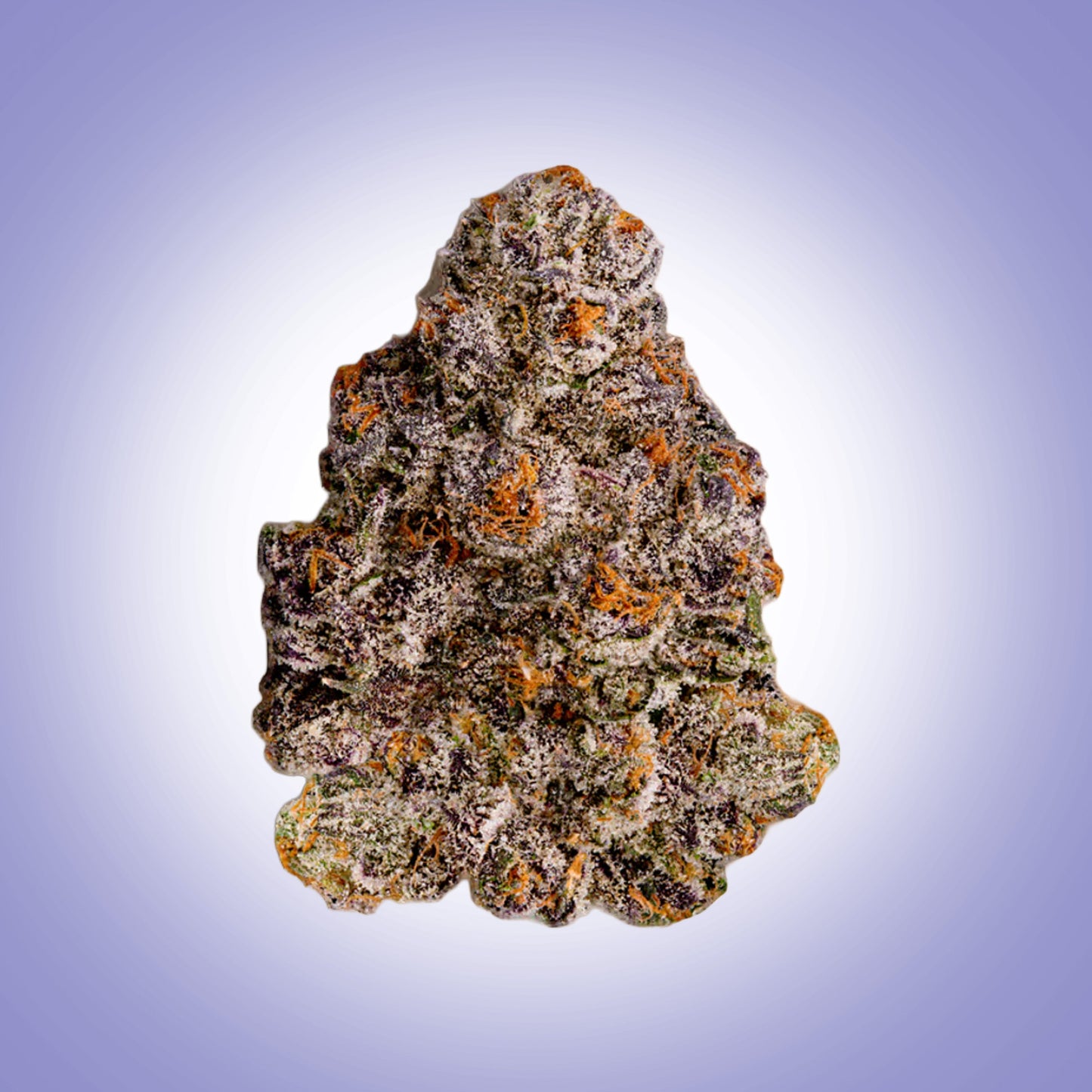 Sativa • Berry Breeze (Premium)