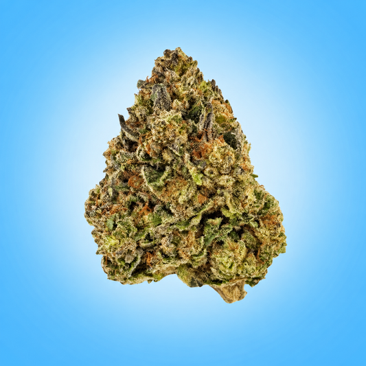 Hybrid • Ghost OG