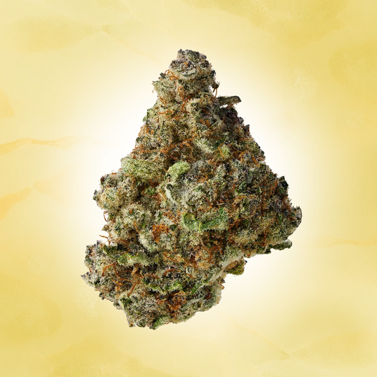 Sativa • Acapulco Gold (Exotic)