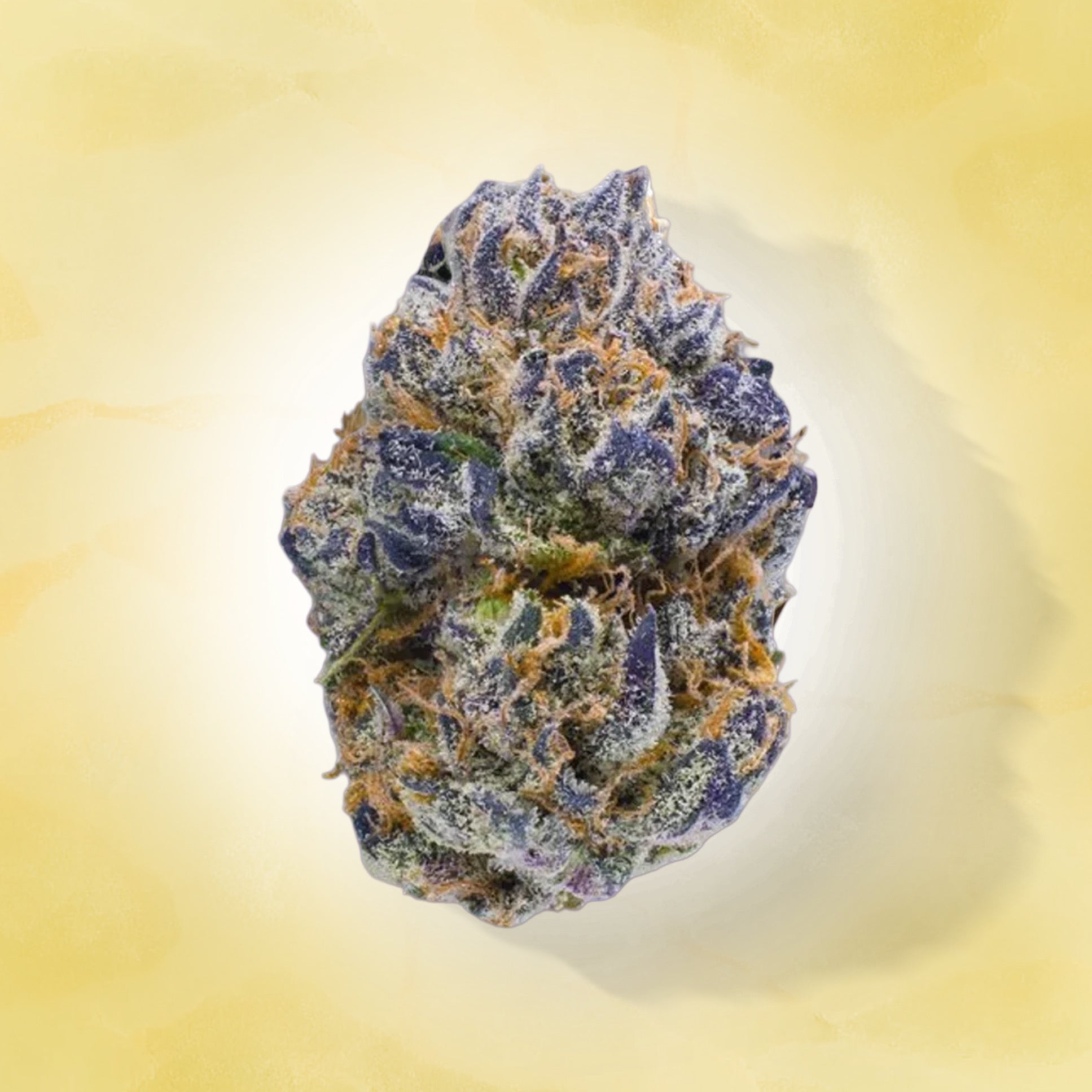 Indica • Granddaddy Purple (Oz Deals)– ZENZURI