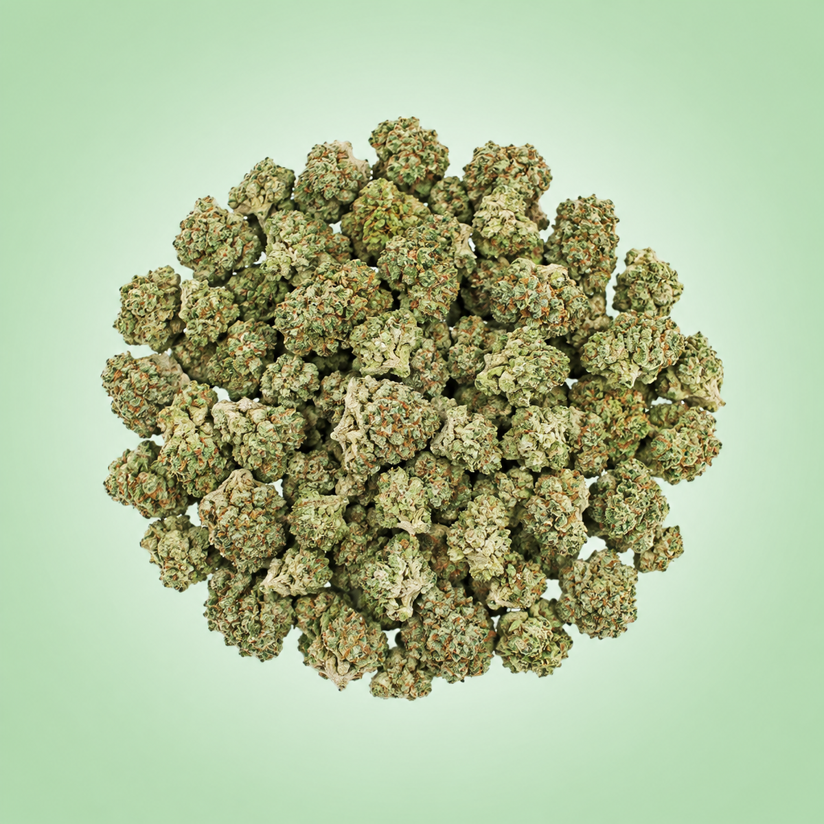 Sativa • Lemonatti
