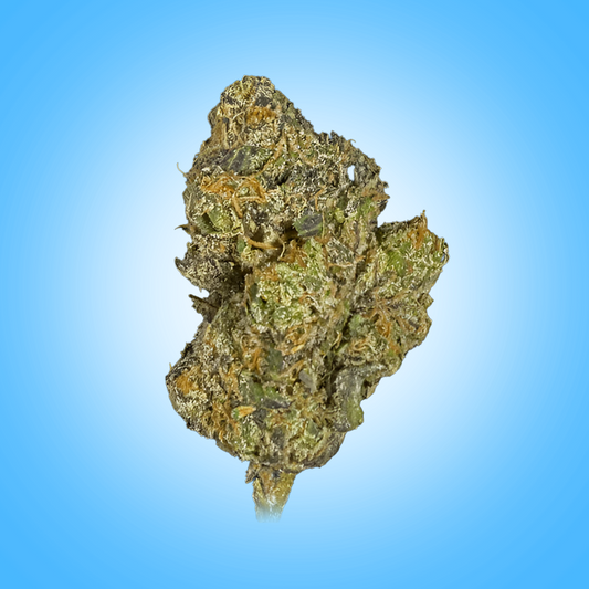 Hybrid • Gelato 33 (Budget Buds)