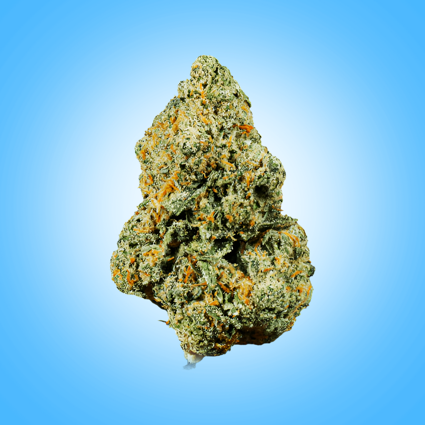 Sativa • Sour Diesel (Budget Buds)